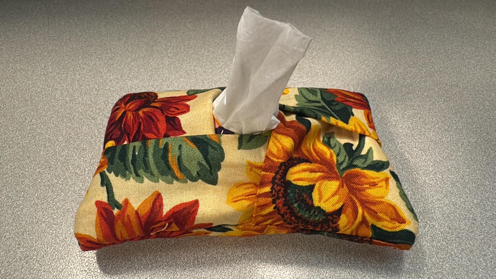 Tissue holder